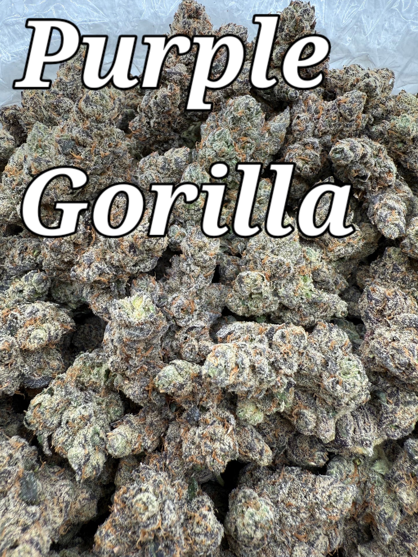 DankLife's Purple Gorilla