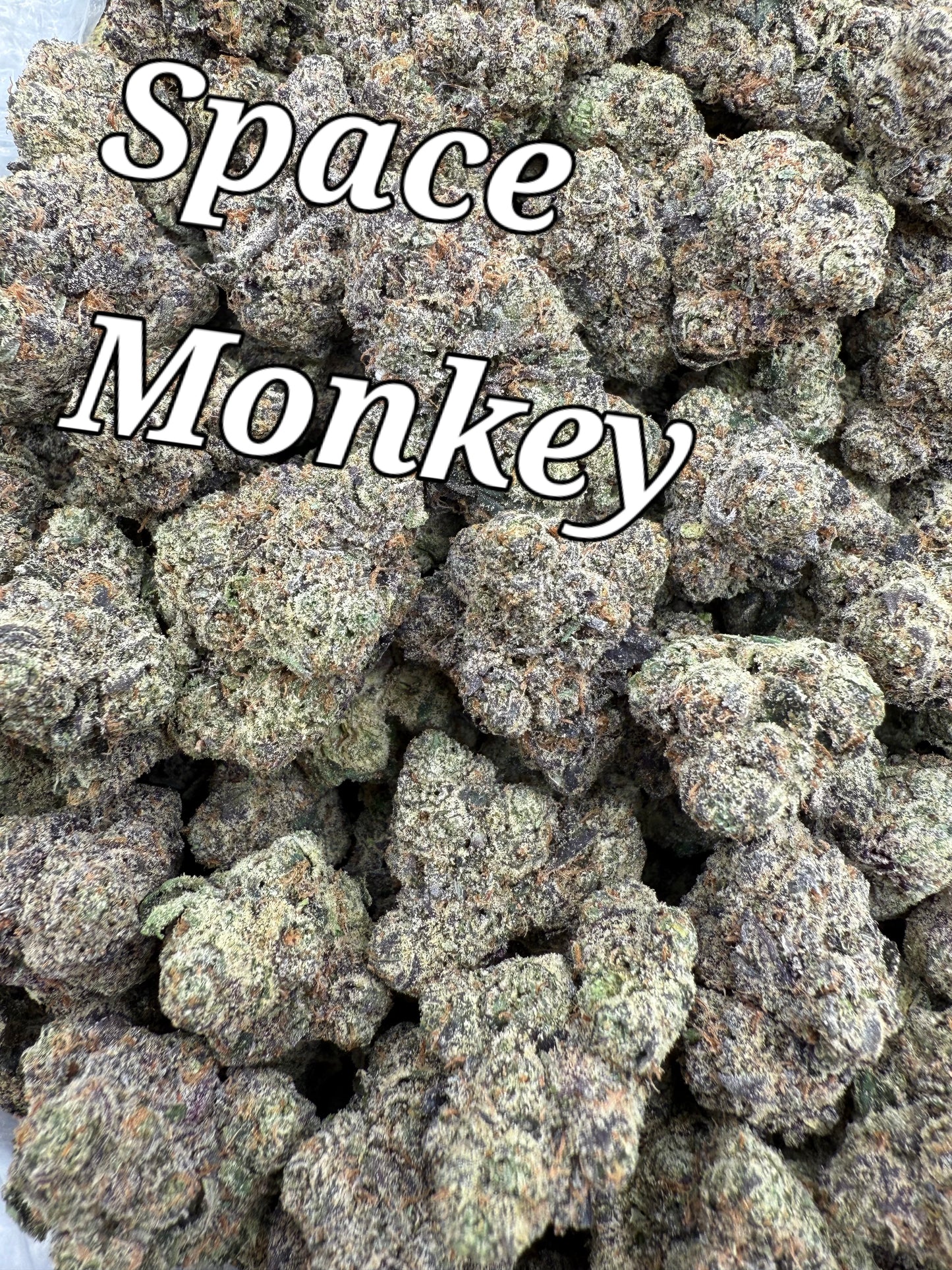 DankLife's Space Monkey