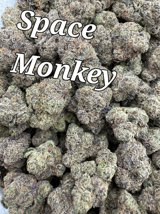 DankLife's Space Monkey