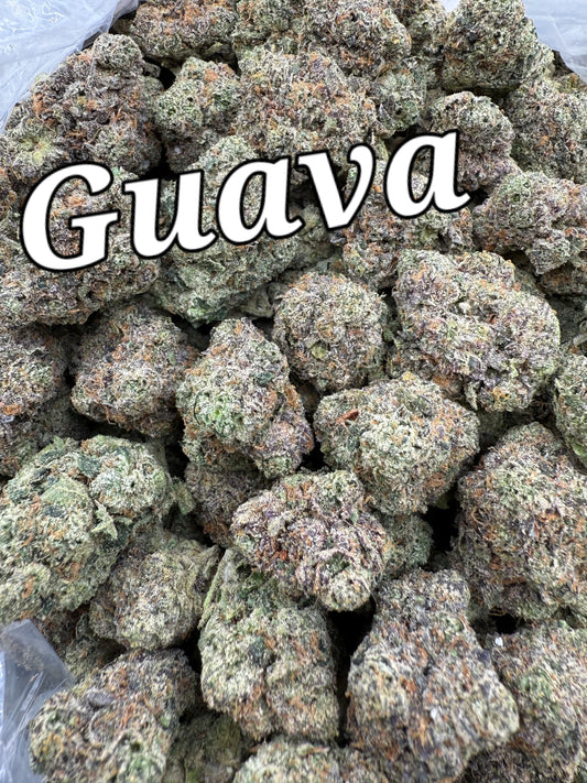 DankLife's Guava