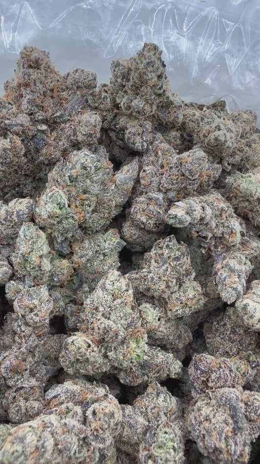 DankLife's Purple Gorilla