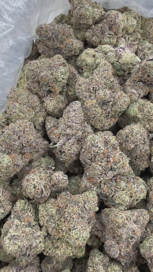 DankLife's Space Monkey