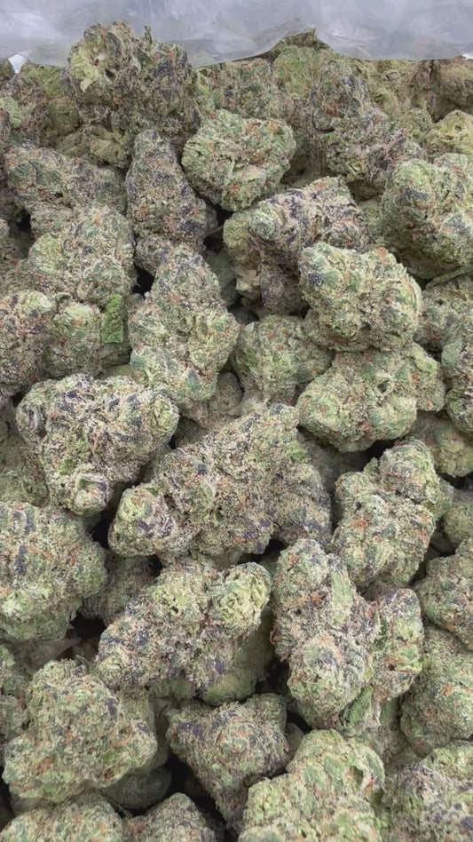 DankLife's Gelatti