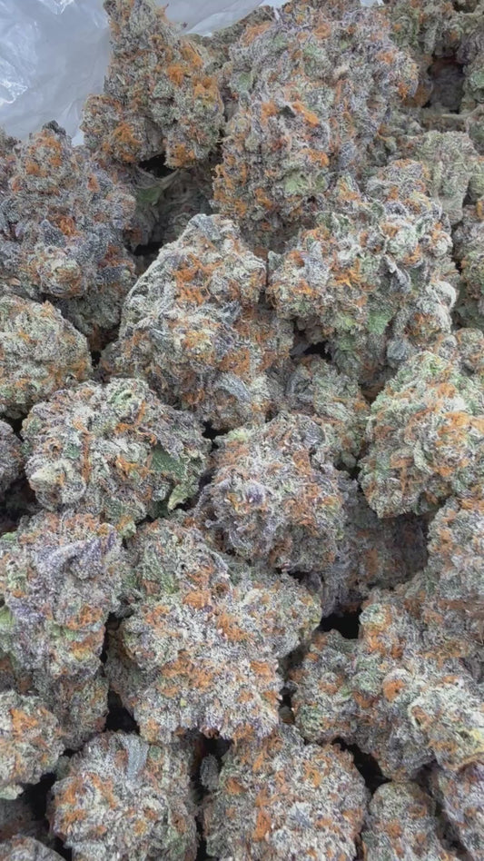 DankLife's Purple Slush