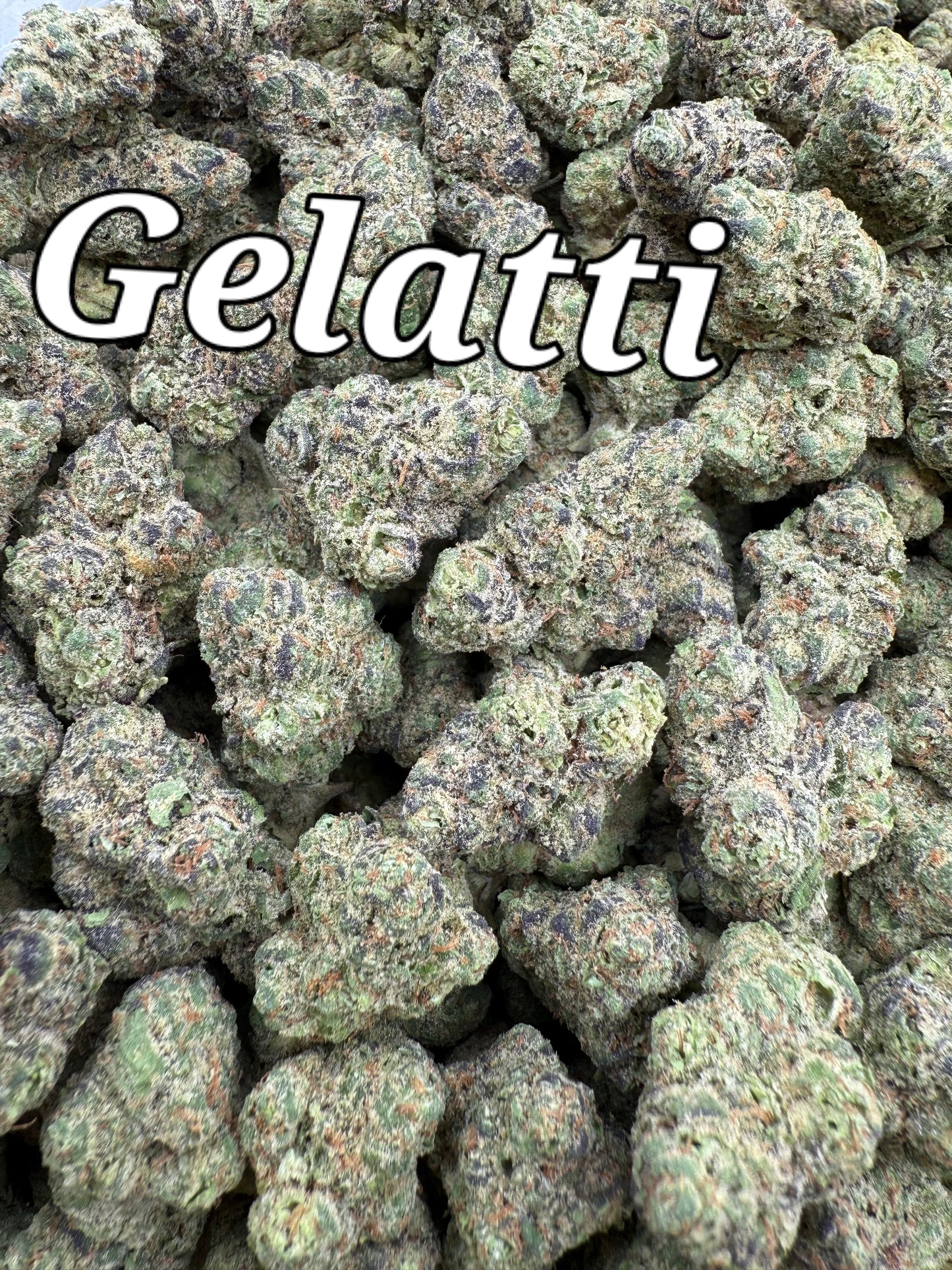 DankLife's Gelatti