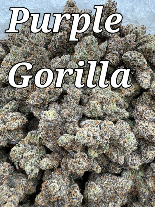 DankLife's Purple Gorilla
